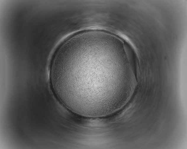 X0000088671416200706071450