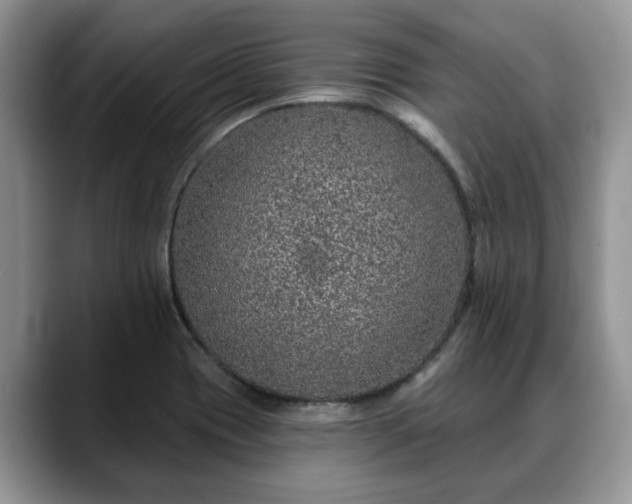 X0000088671417200706071450