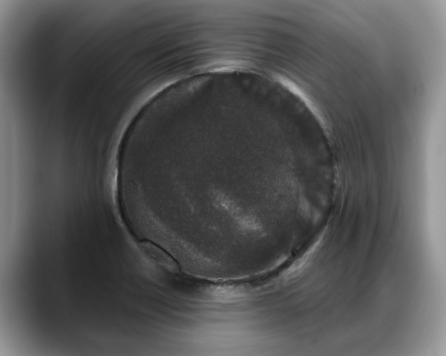 X0000088671418200706071450