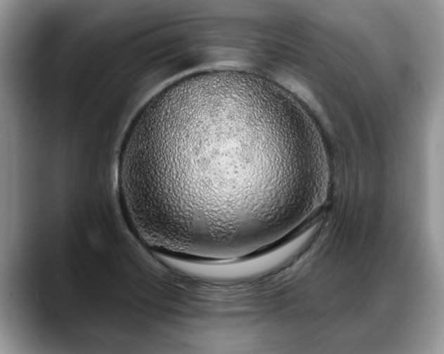 X0000088671420200706071450