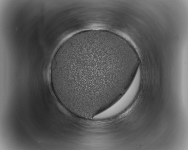 X0000088671421200706071450