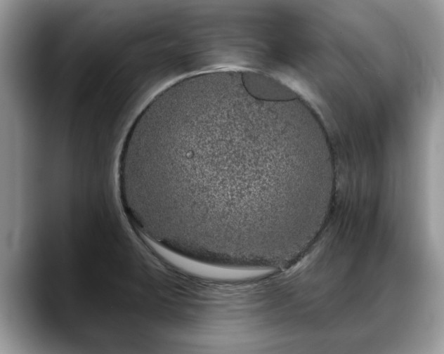X0000088671423200706071450