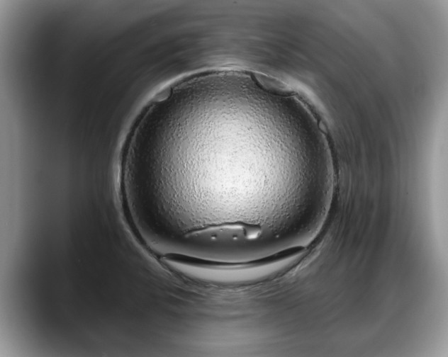 X0000088671424200706071450