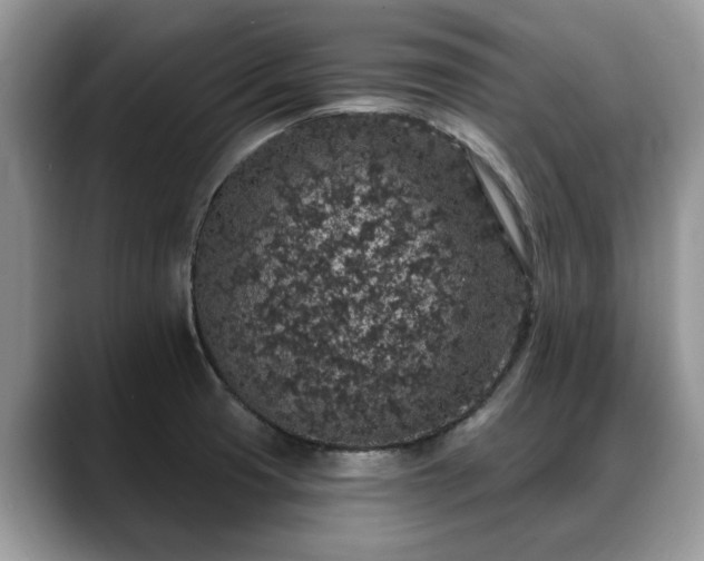 X0000088671425200706071450