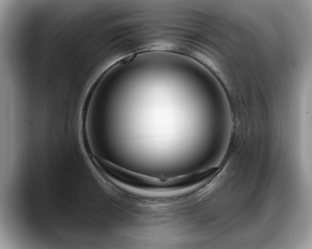 X0000088671426200706071450