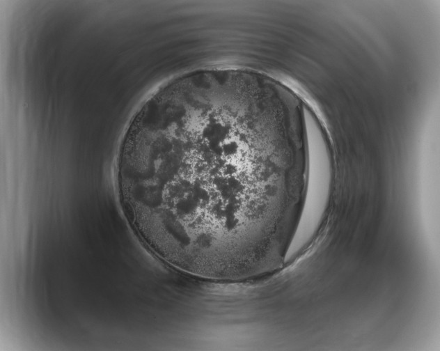 X0000088671429200706071451