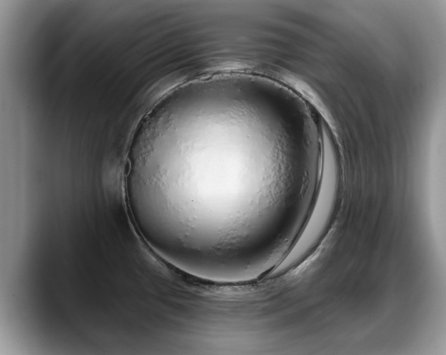 X0000088671433200706071451