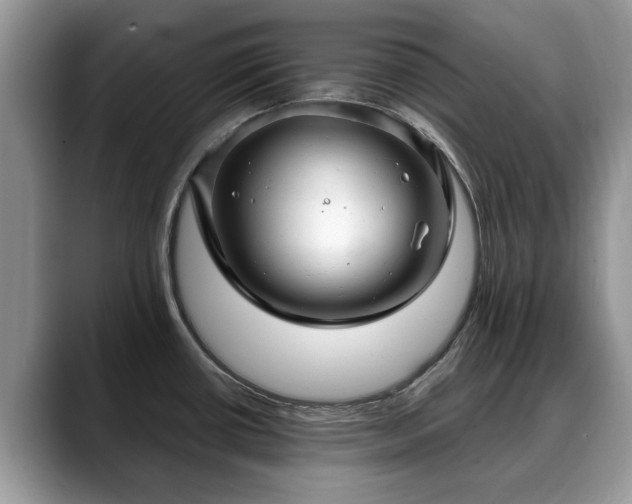 X0000088671434200706071451