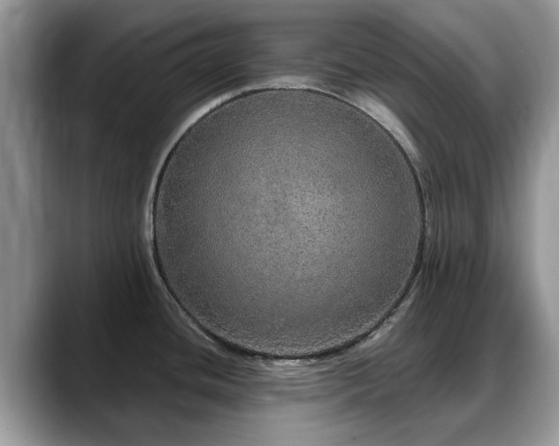 X0000088671436200706071451