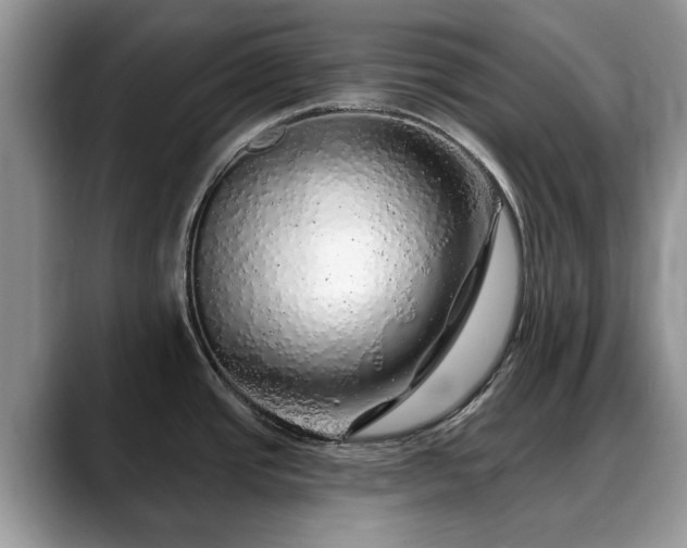 X0000088671437200706071451