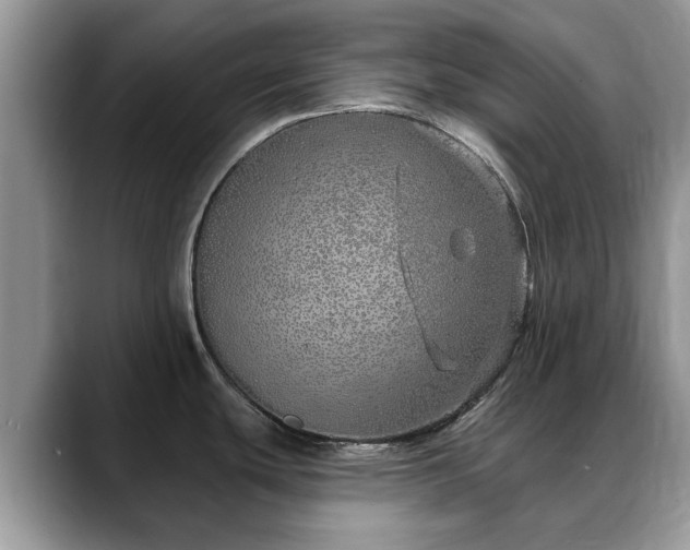 X0000088671439200706071451