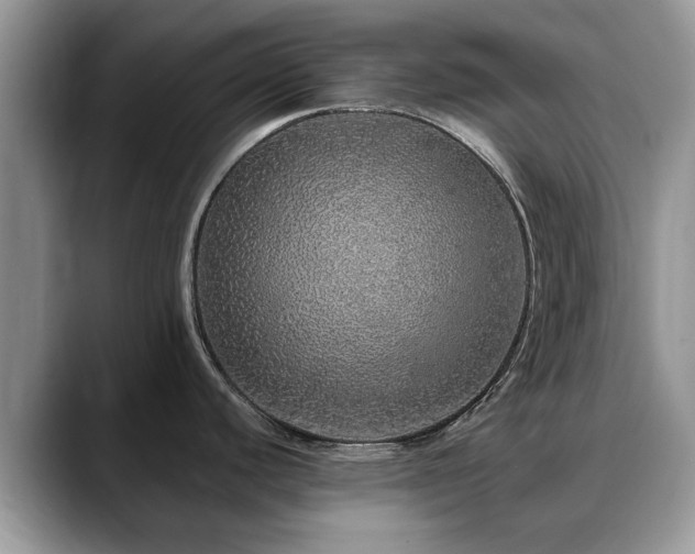X0000088671440200706071451