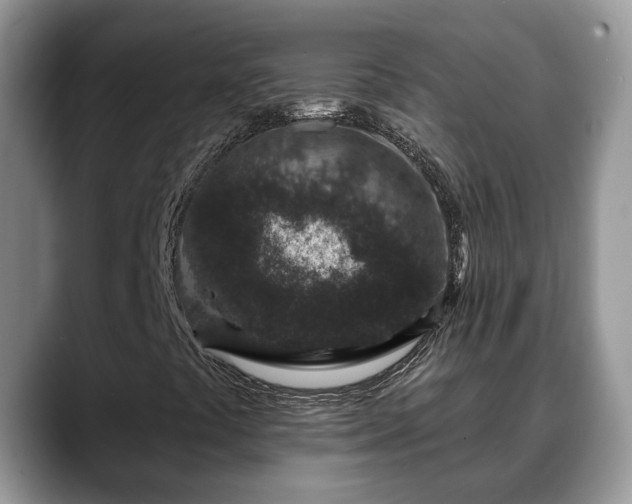 X0000088671441200706071450