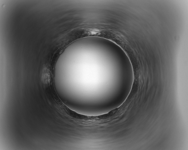 X0000088671442200706071450