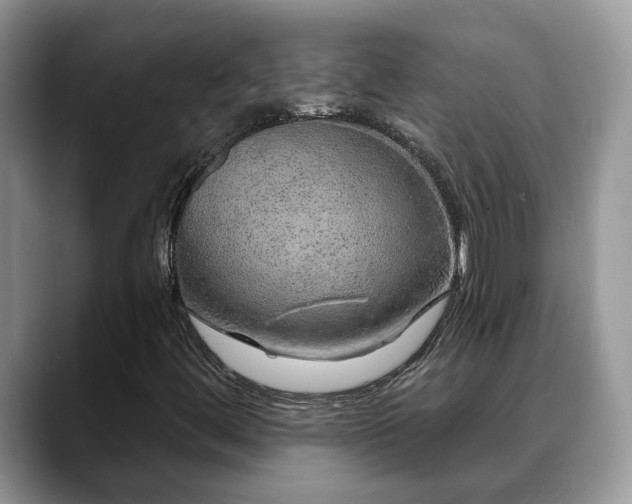 X0000088671444200706071450