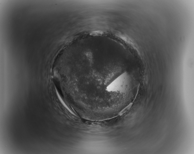 X0000088671445200706071450
