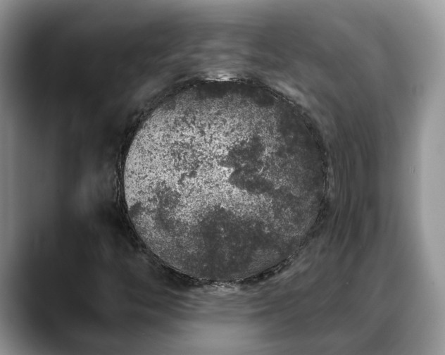 X0000088671446200706071450
