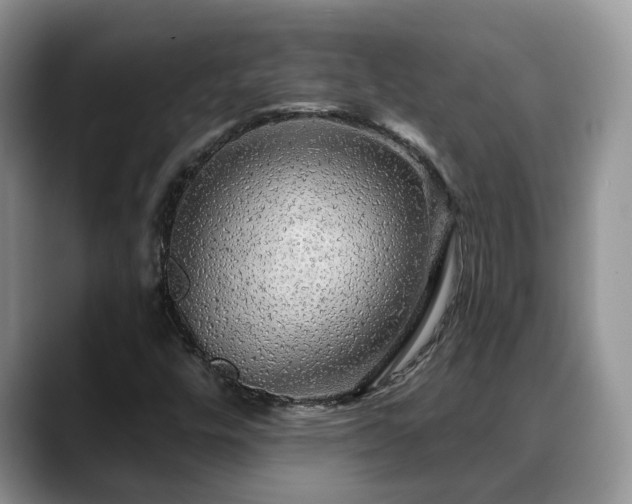 X0000088671448200706071450