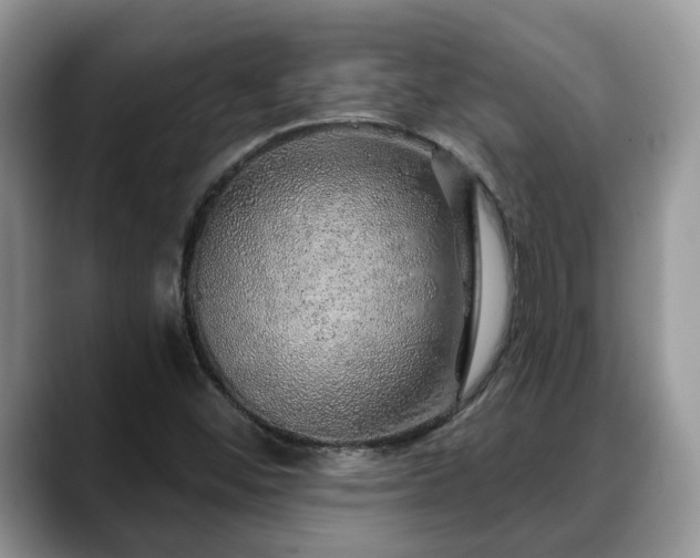 X0000088671452200706071450