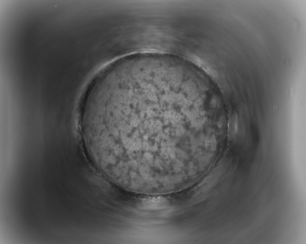 X0000088671454200706071450