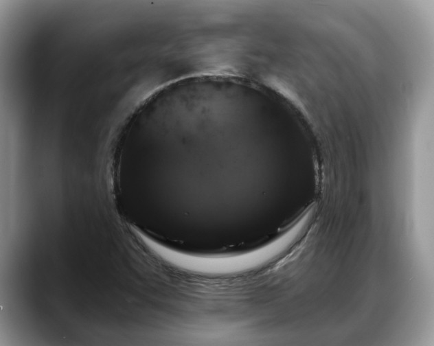 X0000088671455200706071450