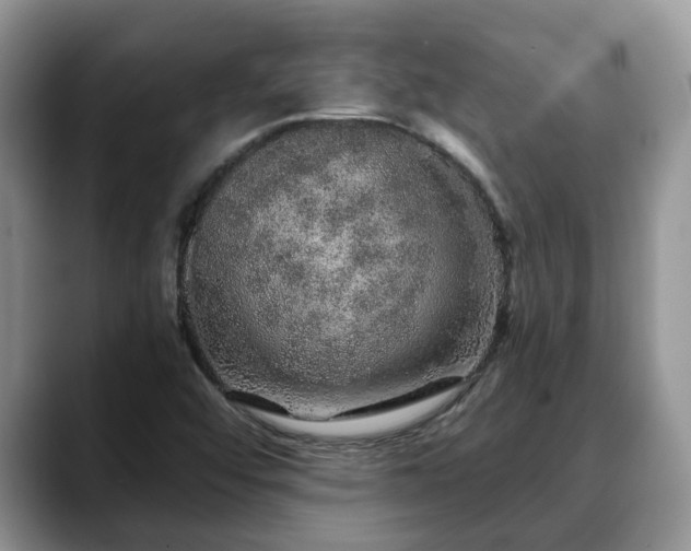 X0000088671456200706071450