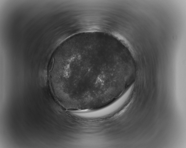 X0000088671457200706071450