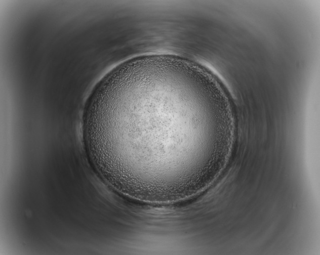 X0000088671460200706071450