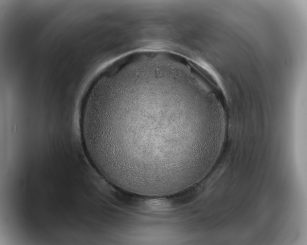 X0000088671464200706071450
