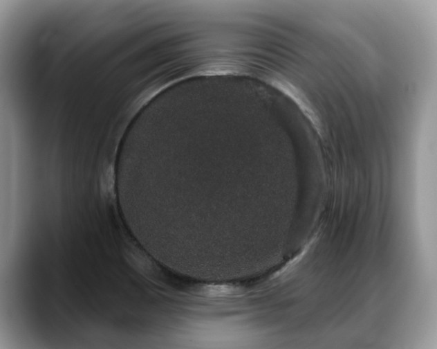 X0000088671465200706071450