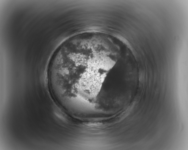 X0000088671466200706071450