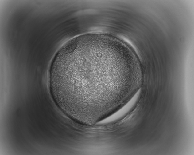 X0000088671467200706071450