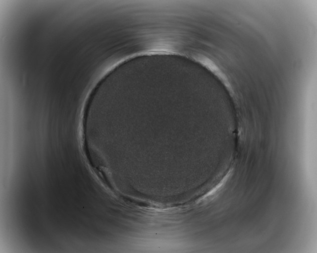 X0000088671469200706071450