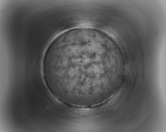 X0000088671470200706071450