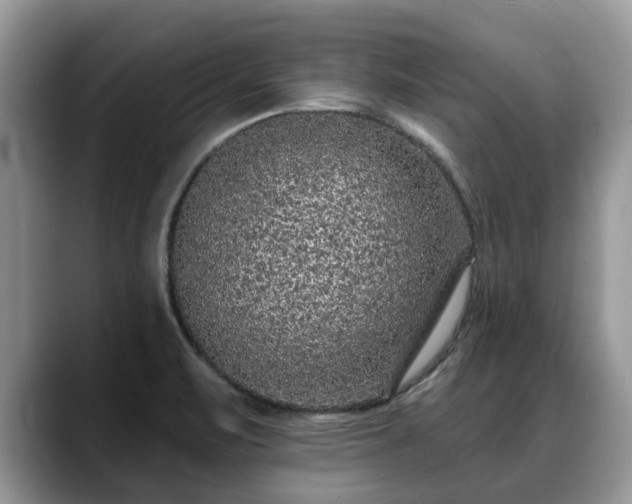 X0000088671471200706071450