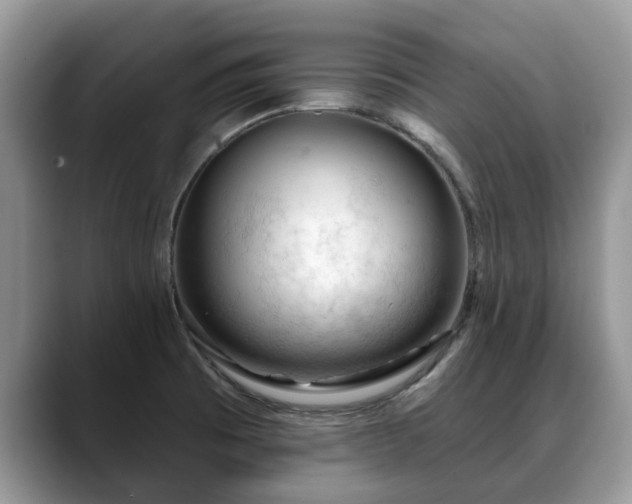 X0000088671473200706071450