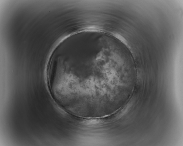 X0000088671474200706071450