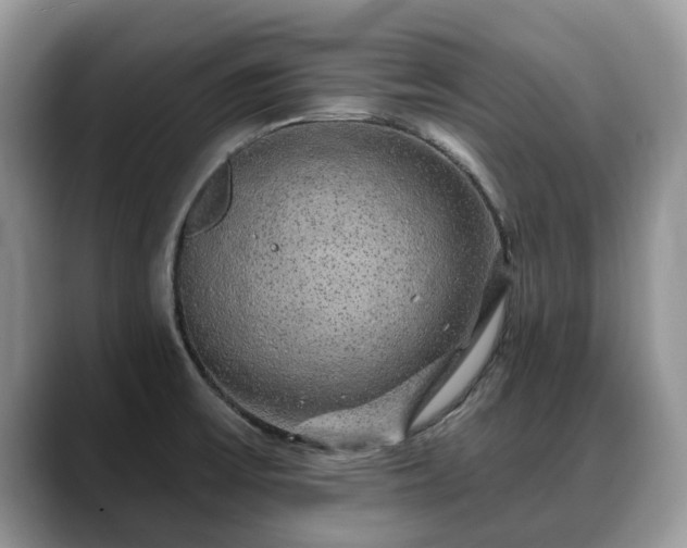 X0000088671475200706071450