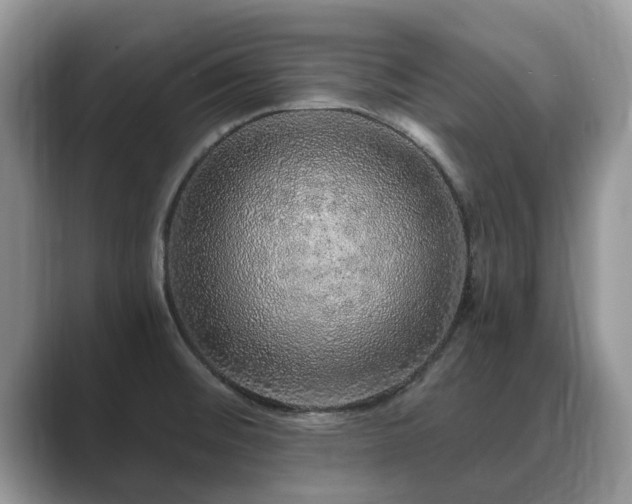 X0000088671476200706071450