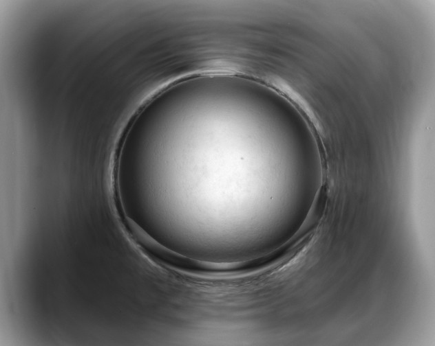 X0000088671477200706071450