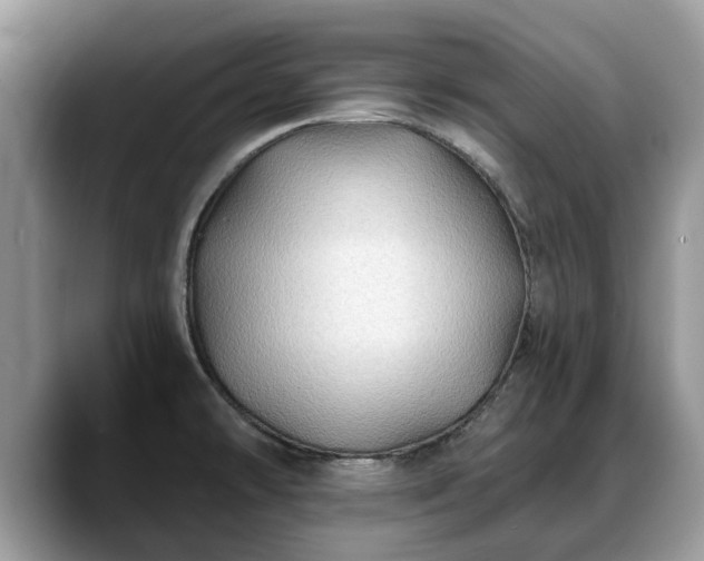 X0000088671478200706071450