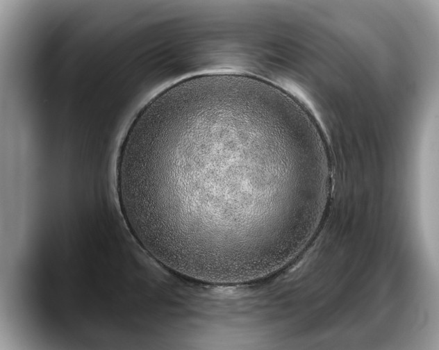 X0000088671480200706071450