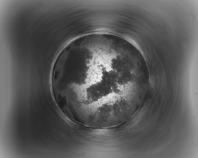 X0000088671482200706071450