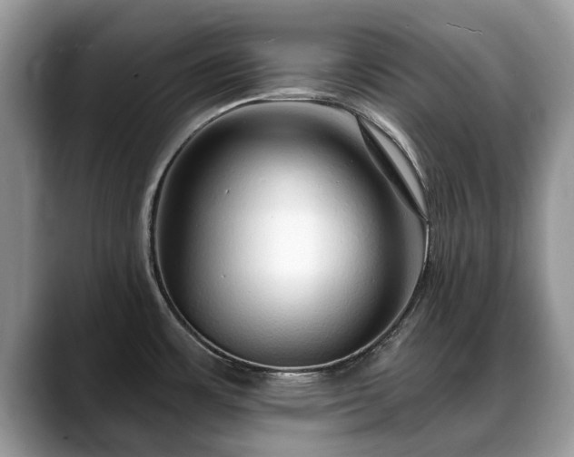 X0000088671483200706071449