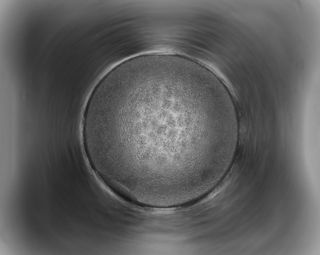 X0000088671484200706071449