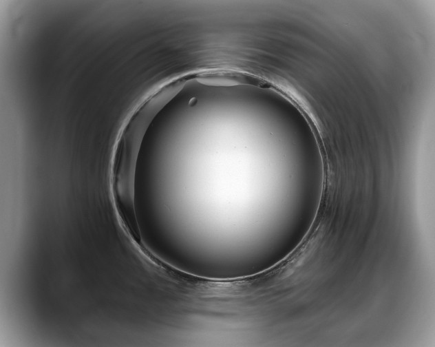 X0000088671485200706071449
