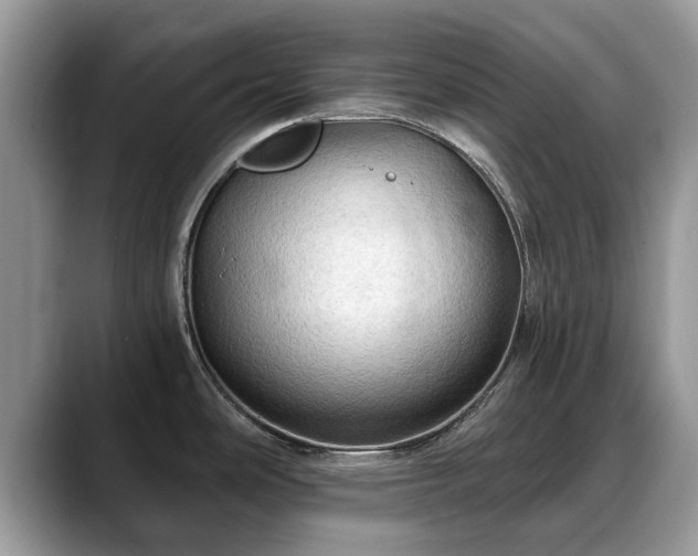 X0000088671486200706071449
