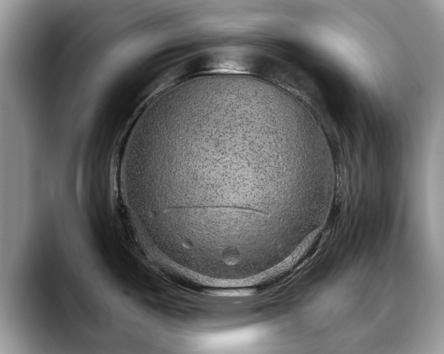 X0000088671487200706071449