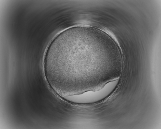X0000088671488200706071449