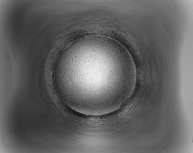 X0000088671489200706071449